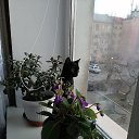 ���� ��������, ���������, 50 ��� - ��������� 15 ������ 2025 � ������ ������ ��������