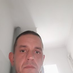 , 39, 