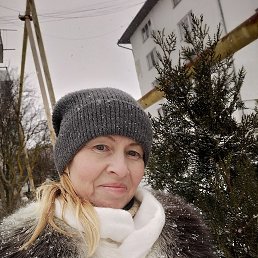 ���� �����, �����-���������, 52 ���� - ��������� 26 ������� 2026