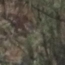 �������, ������, 43 ����