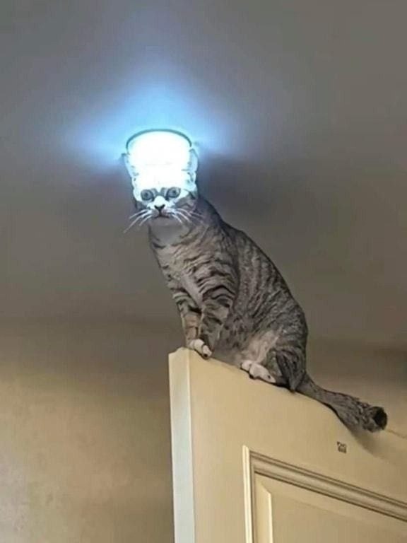 Друзья: ведут себя нормально.Я: - 5