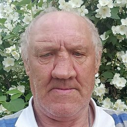 ������, ������, 65 ���