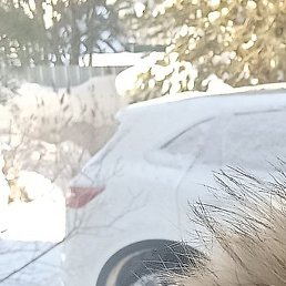 �����, �������, 59 ���