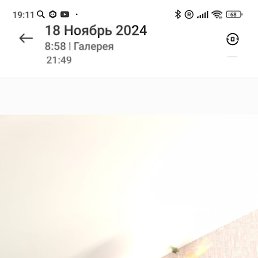 , 46, 
