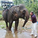 �����������!