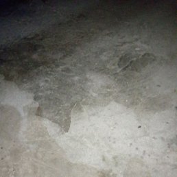 ����, �������, 44 ����