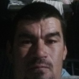 �����, ������, 36 ���