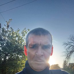 , 37, 