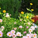 ���� ������, ������, 56 ��� - ��������� 30 ���� 2024 � ������ ���� ����������