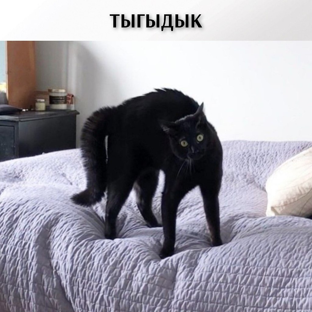��� ���� � ����� �� �� - 22 ������� 2026 � 17:30 - 3