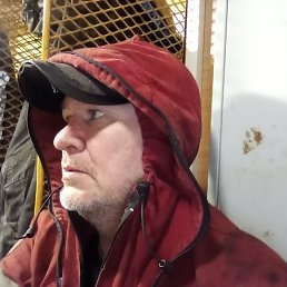 ���������, 44 ����, ��������