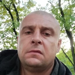 ������, �����, 43 ����