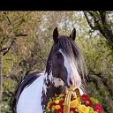 ���� �����, ������, 55 ��� - ��������� 24 ������ 2026