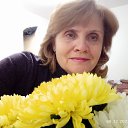 ���� ����������, �����-��������� - ��������� 1 ������� 2024 � ������ ���� ����������