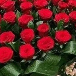 ����, ������, 48 ���