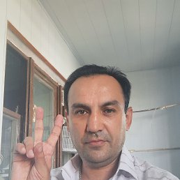 , 45, 