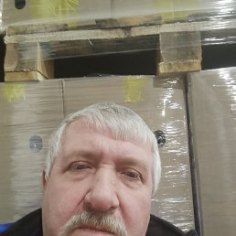 ������ �������, 43 ����, ������