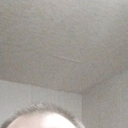 ������ �������, �����, 50 ���