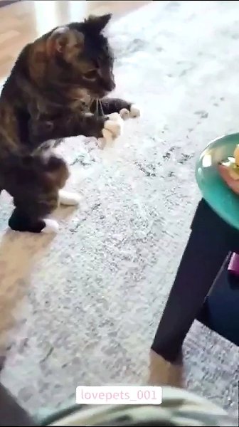 ������� ������� � ������� ������������ ���. - 2