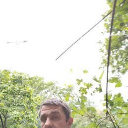 , 46, 