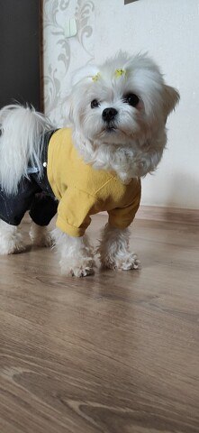 ���� ����, ���������, 56 ��� - ��������� 7 ������ 2024