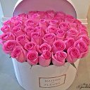 ���� ����, ������ - ��������� 21 ������ 2024 � ������ �������