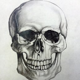 �����228, �����-���������, 96 ���