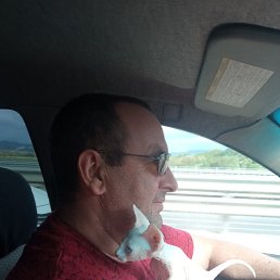 ���� ������, �����������, 51 ��� - ��������� 7 ������ 2025