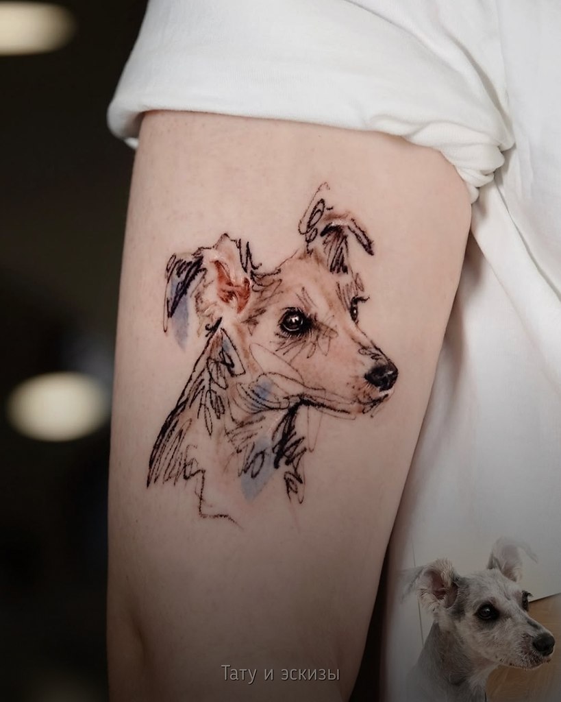 ���� ���������� �����, ����� ����������� ������� ��������� ������ � �������� ������� � ������� ...