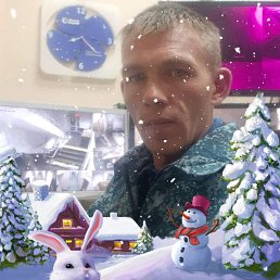 Den, �����-���������, 37 ���