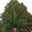 ���� ������, ������� - ��������� 19 ������ 2026 � ������ ���� ����������