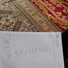 ���� Serik, ����, 42 ���� - ��������� 21 �������� 2024