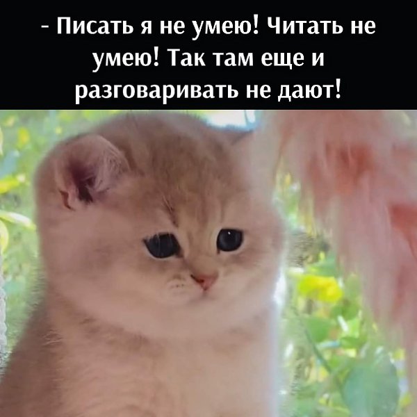 ��� ���� � ����� �� �� - 21 ������� 2025 � 17:28 - 3