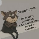 ���� ������� �������, �����, 26 ��� - ��������� 22 ������ 2025