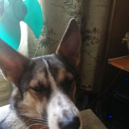 ���� �������, ����-������, 48 ��� - ��������� 28 ������� 2026