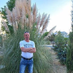 �������, 60 ���, �������