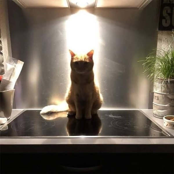 ������ �������� - 3