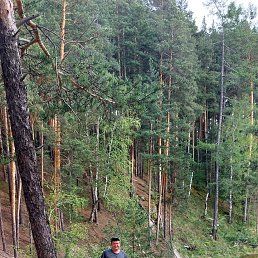 ���� �������, ��������, 49 ��� - ��������� 30 ������� 2025