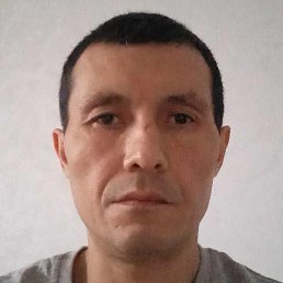 ., , 43 