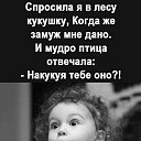 ���� N &hearts; L, ������ - ��������� 10 ��� 2026 � ������ ������ ��������
