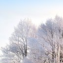 ���� ������, ������, 60 ��� - ��������� 11 ��� 2026 � ������ ���� ����������