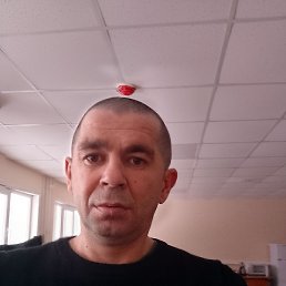 ��������, ���������, 43 ����