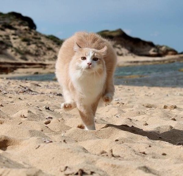  ))