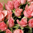 ���� ��������, ������, 40 ��� - ��������� 1 ������� 2025