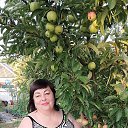 ���� �������, �������, 64 ���� - ��������� 6 �������� 2025 � ������ ���� ����������