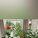 ���� �����, ������-��� - ��������� 30 ��� 2025