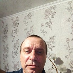 ������, 49 ���, ���������