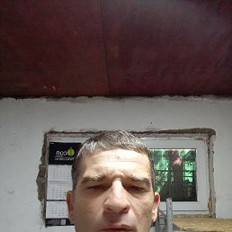 , 44, 