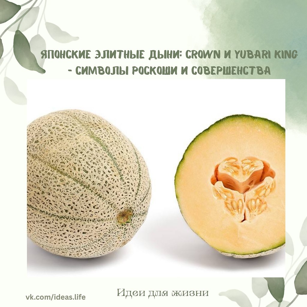 В Японии культура фруктов возведена в ранг искусства, а некоторые сорта стали настоящими объектами ...