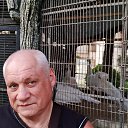 ���� Sov�, ������ - ��������� 8 ������ 2024 � ������ ���� ����������